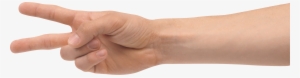 two finger hand png image - Рука Два Пальца