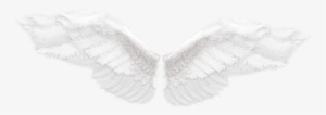 Angel Wings Png Tumblr For Kids - Free Angel Wings