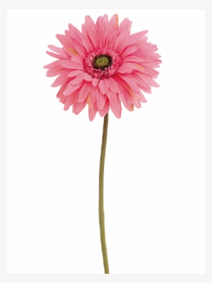 29" Gerbera Daisy Spray Pink - Silk Plants Direct Gerbera Daisy Spray - Pink - Pack
