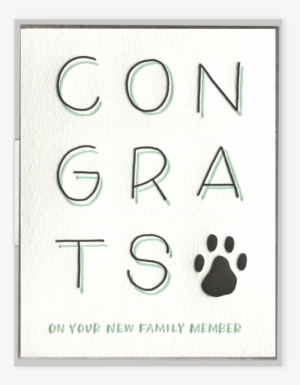 "congrats On Your New Family Member" Greeting Card - Greeting Card