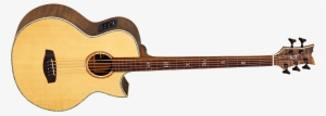 Ortega Acoustic Bass Guitar
