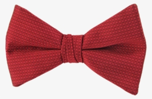 Picture Of Romance Apple Red Bow Tie - Necktie