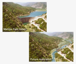 Businesses, And Individuals Committed To The Environmental - Matilija Dam