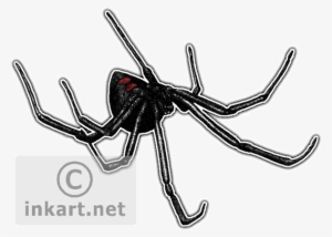 Black Widow Spider Png - Black Widow Spider Throw Blanket