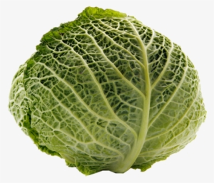 Cabbage Transparent Png - Cabbage