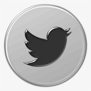 Logo Twitter Piccolo