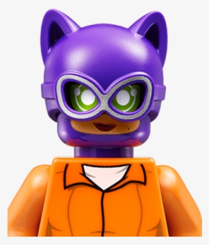 Meet Arkham Asylum Catwoman - Catwoman Lego Batman Movie