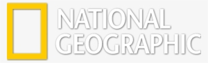 International Clients