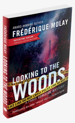 Lookingtothewoods-3d Copy