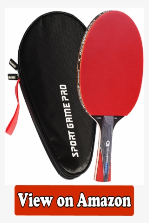 Best Ping Pong Paddle Buyer's Guide