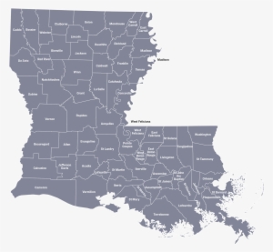 Police Officers' Disproportionate Focus On People Of - Louisiana Vector