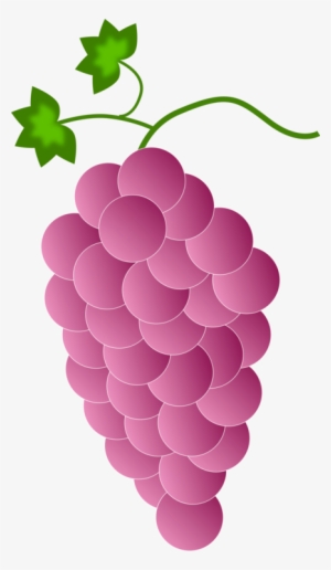 Grapevines Wine Computer Icons Fruit - Isabella Grapes Cliparts