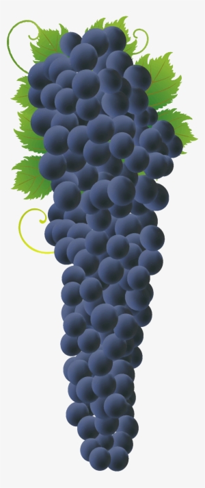 Big Image - Grape Bunch Png