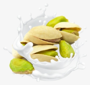 Pistachio Frozen Yogurt With Lightly Roasted Pistachios - We Got Nuts Roasted Unsalted In Shell Pistachios