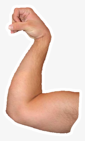 Chin Up - Biceps