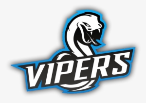 Vipers Cs Go