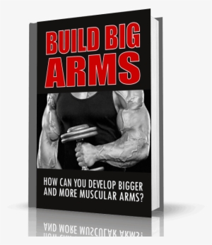 If You Are Damn Serious To Learn How To Build Big Muscle - Tata-binding Protein