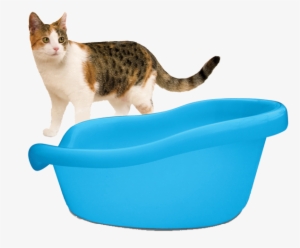 Cat With Litter - Smartcat The Ultimate Litter Box, Blue