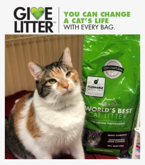 Ihs Receives 500-pound Donation From World's Best Cat - World's Best Cat Litter - Cat Litter Lavender - 7 Lbs.