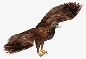 Golden Eagle - Wiki