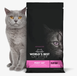 World's Best Cat Litter Picky Cat Litter - World's Best Cat Litter Picky Cat