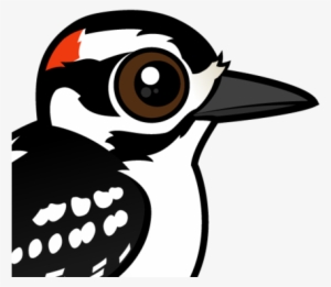 About The Hairy Woodpecker - Cute Woodpecker Clip Art