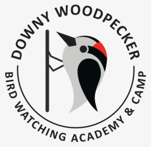 Downy Woodpecker - Wharf House Restaurant