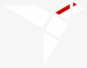 Black Woodpecker Software Fotoer Logo - Software