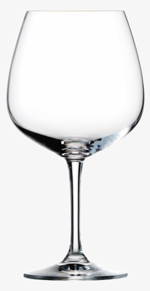 Vino Nobile Pinot Noir Glass - Wine Glass