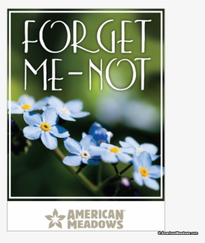 Forget Me Not Full Size Seed Packet - Vintage Paper Forget Me Not Flowers