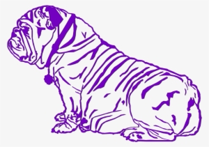 Daiquiri - Sold - Bengal Tiger