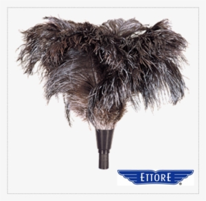 Ettore Ostrich Feather Duster - Ostrich Feather Duster Png