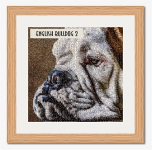 Unique English Bulldog Art Work Original Gifts Bespoke - Art