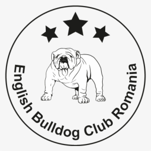 Bulldog Club Romania - Vector Graphics