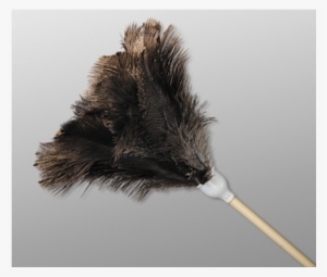 duster feather ostrich - feather duster
