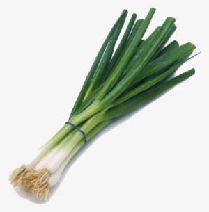 Green Onion Png Transparent Image - Green Onion