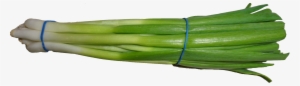 Scallion 2 - Wikimedia Commons