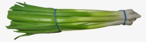 Free Png Scallion Green Onion Png Images Transparent - Scallion Png