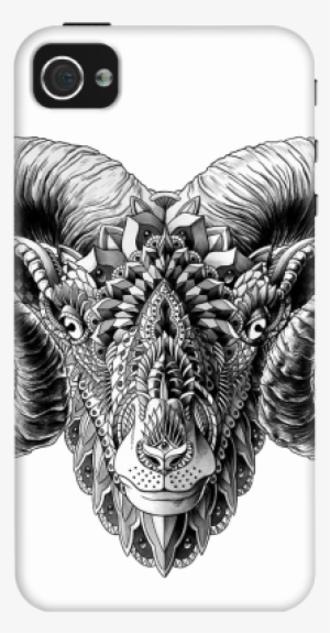 Rams Head Closeup Case For Iphone 4/4s - Big Horned Sheep Tattoos