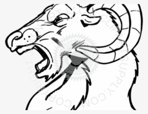 Ram Head Cliparts - Drawing
