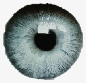ojo pupila azul blue white ojos - ojos negros picsart png