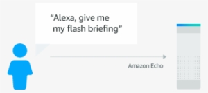 Customers Say To Invoke The Flash Briefing Or News - Alexa Turn On The Light
