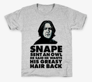 Snape Sent An Owl He Said He Wants His Greasy Hair - Corbyn T Shirt