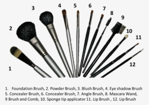 Make Up Brushes - Brush Do You Use To Put Eyeshadow Under Your Eye