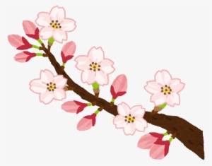 News - 桜 が 咲く イラスト