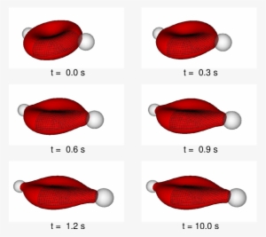 Evolution Of A Red Blood Cell - Red Blood Cell Simulation System Coupling