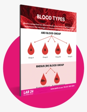 Sign Up Now & Receive Your Free Know Your Blood Type - Laboratory