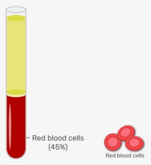 Animation Slide Showing The 45% Or Red Blood Cells - Buffy Coat