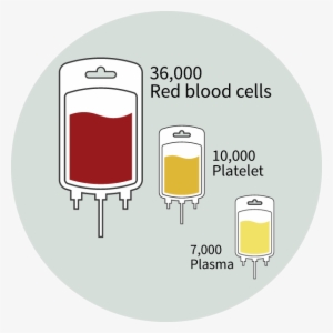 Blood Donation Facts 36,000 Units Of Blood Are Needed - Blood Donation