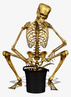 Skeleton-052 - Slav Squat Skeleton